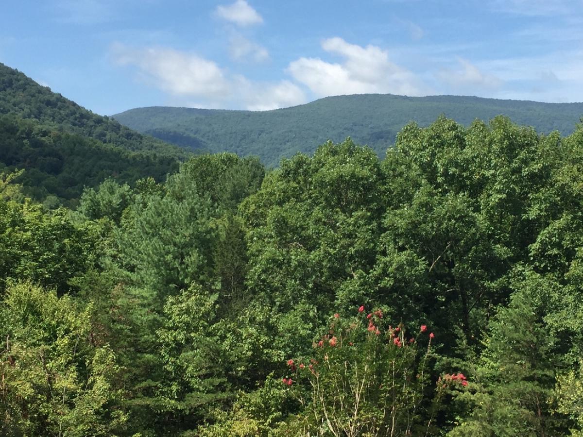 The Lodge In Sugar Hollow Crozet Exterior foto